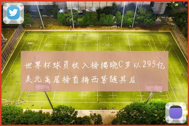 世界杯球员收入榜揭晓C罗以295亿美元高居榜首梅西紧随其后