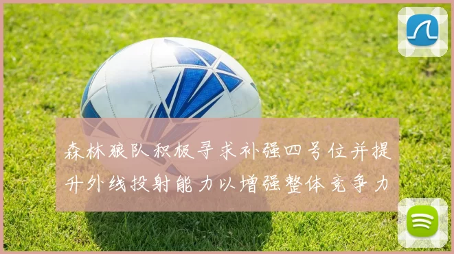 森林狼队积极寻求补强四号位并提升外线投射能力以增强整体竞争力