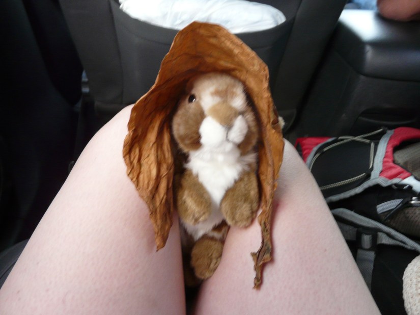 cuba 2017 photo 135.JPG