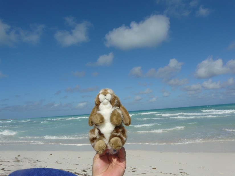 cuba 2017 photo 546.JPG