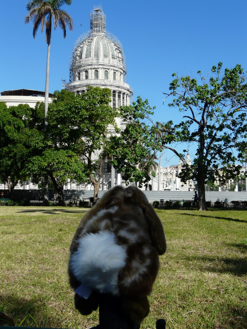 cuba 2017 photo debut 067