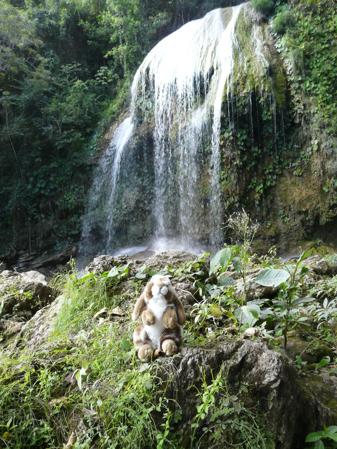 cuba 2017 photo debut 147
